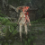 "Inner Demon - Dual Blades" icon